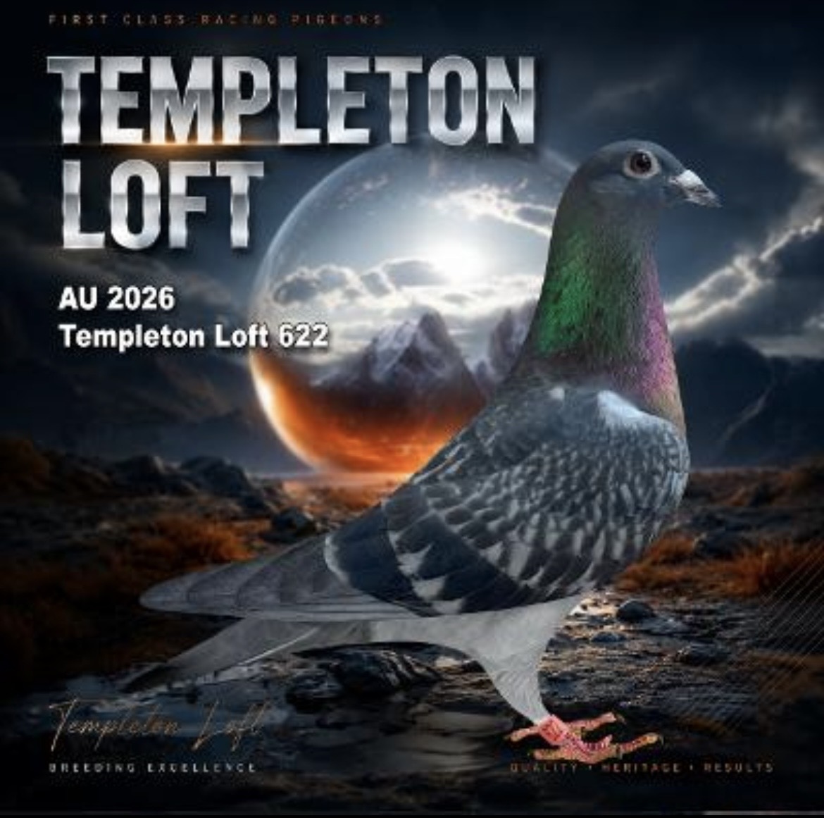 Templeton loft 2026/622 full DNA