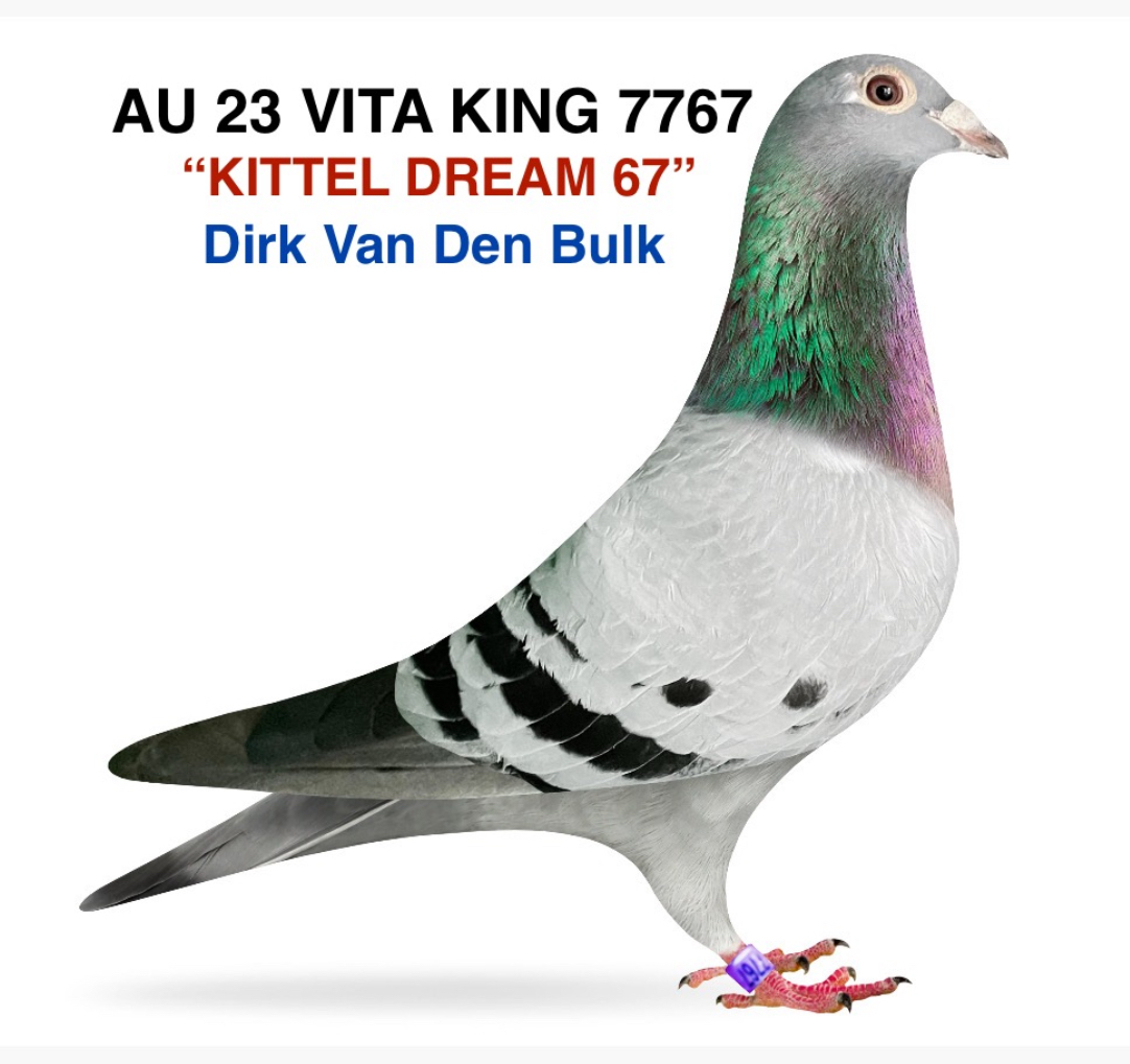 DIRK VAN DEN BULK 