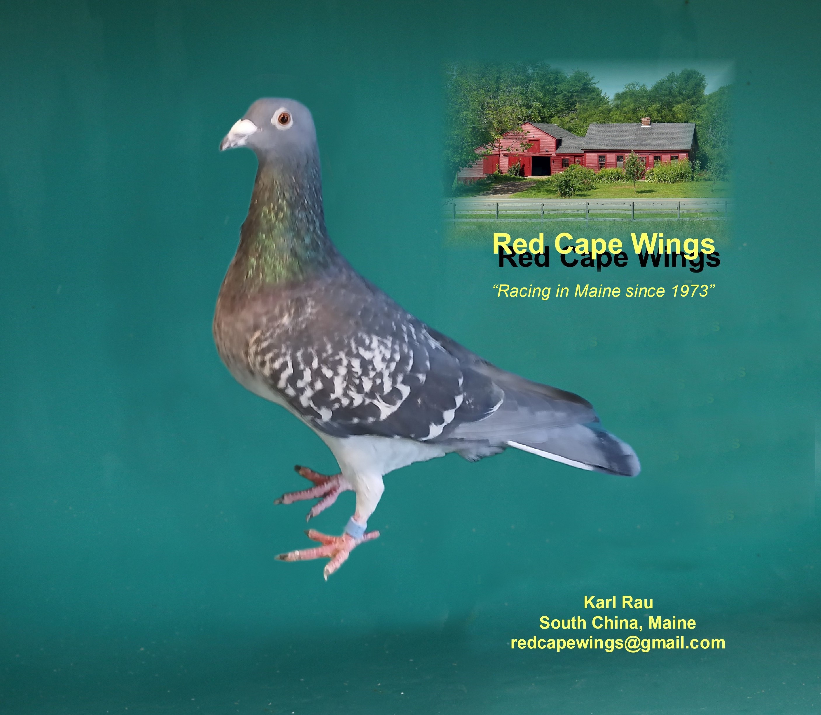 24 CMP 4699  Florian / Mark Evans