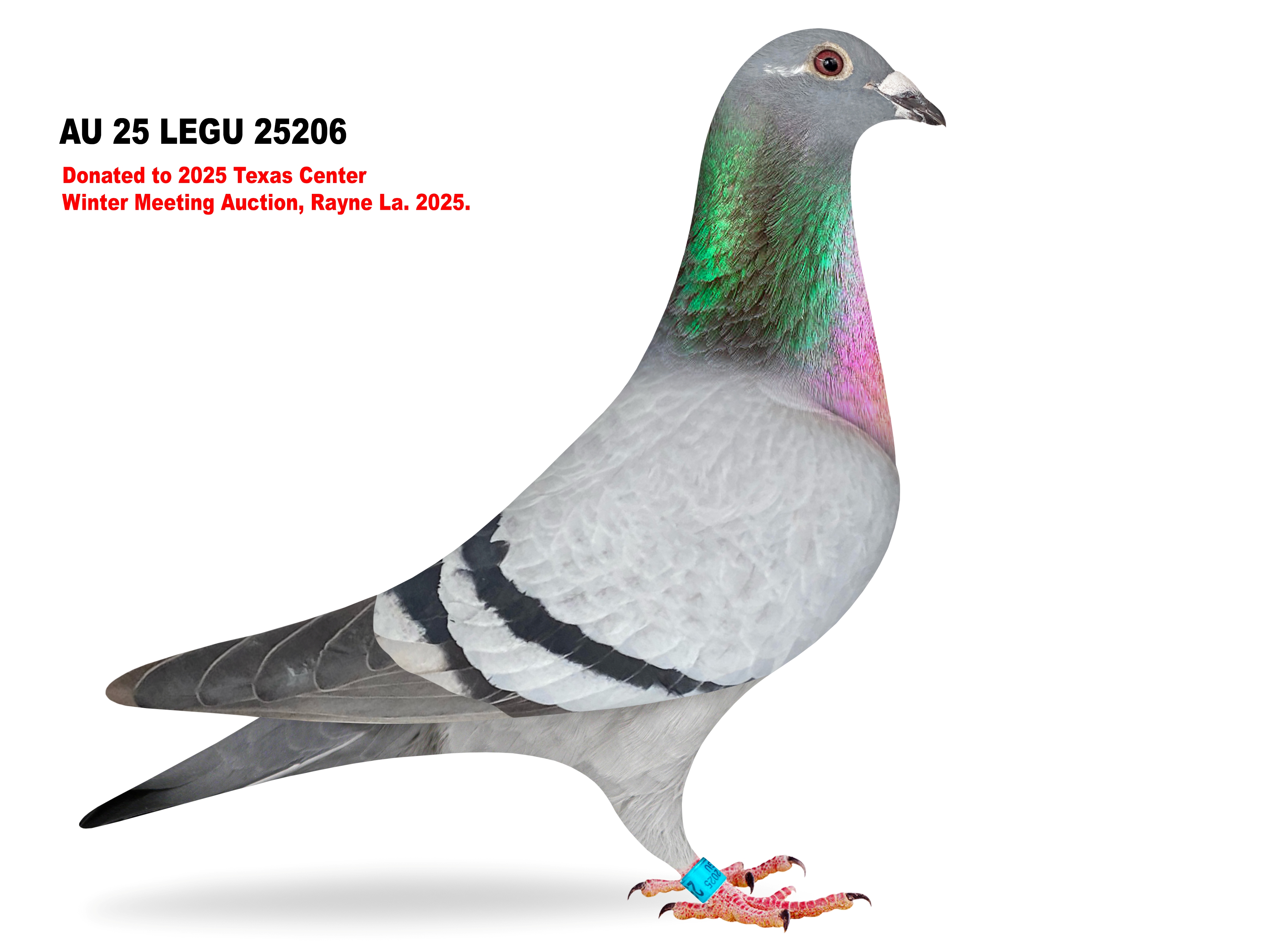 Donated by Dean Ledet