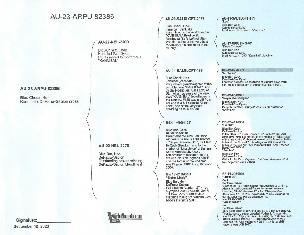 Rabbits den christmas