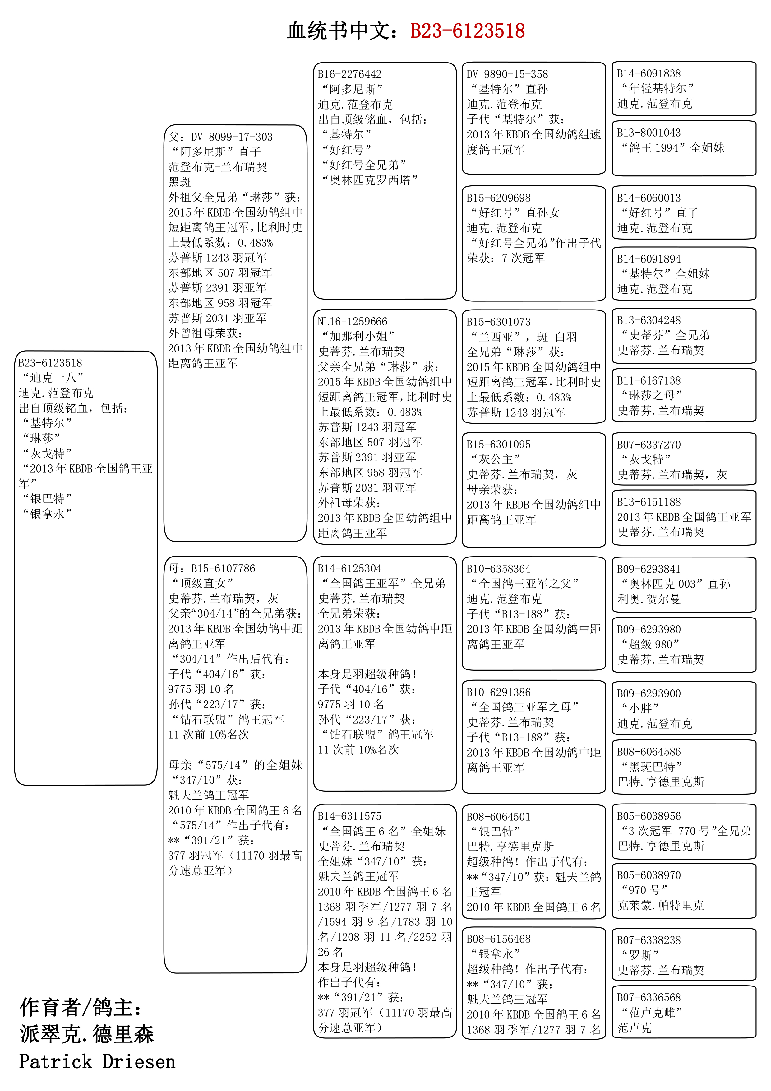 ipigeon-racing-pigeon-auction