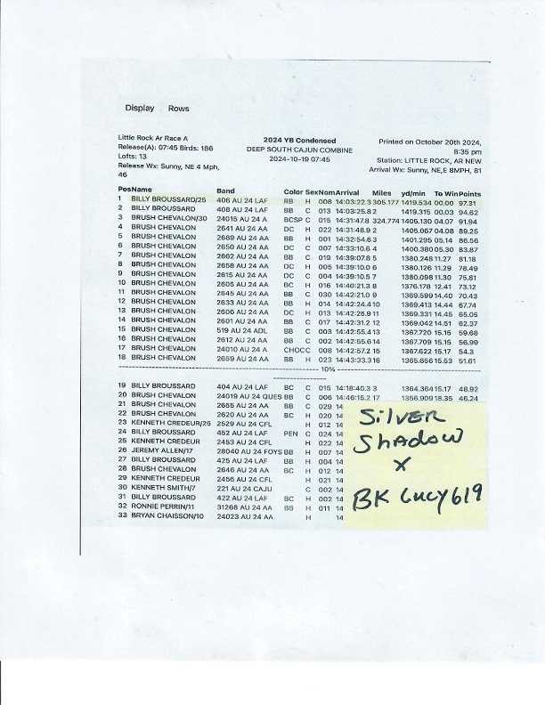 Preview Image 14