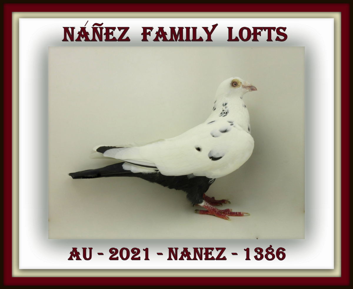AU 2021 NANEZ 1386