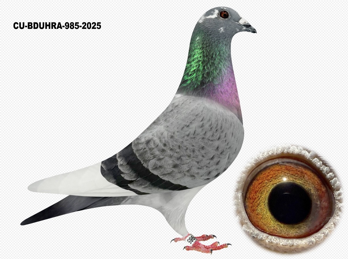 CU 25 BDUHRA 985 PenSp H