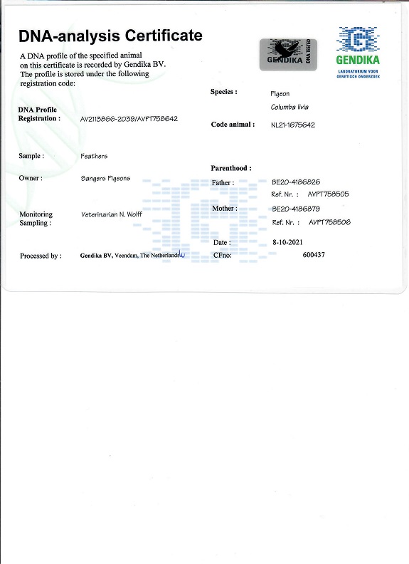 Preview Image 4