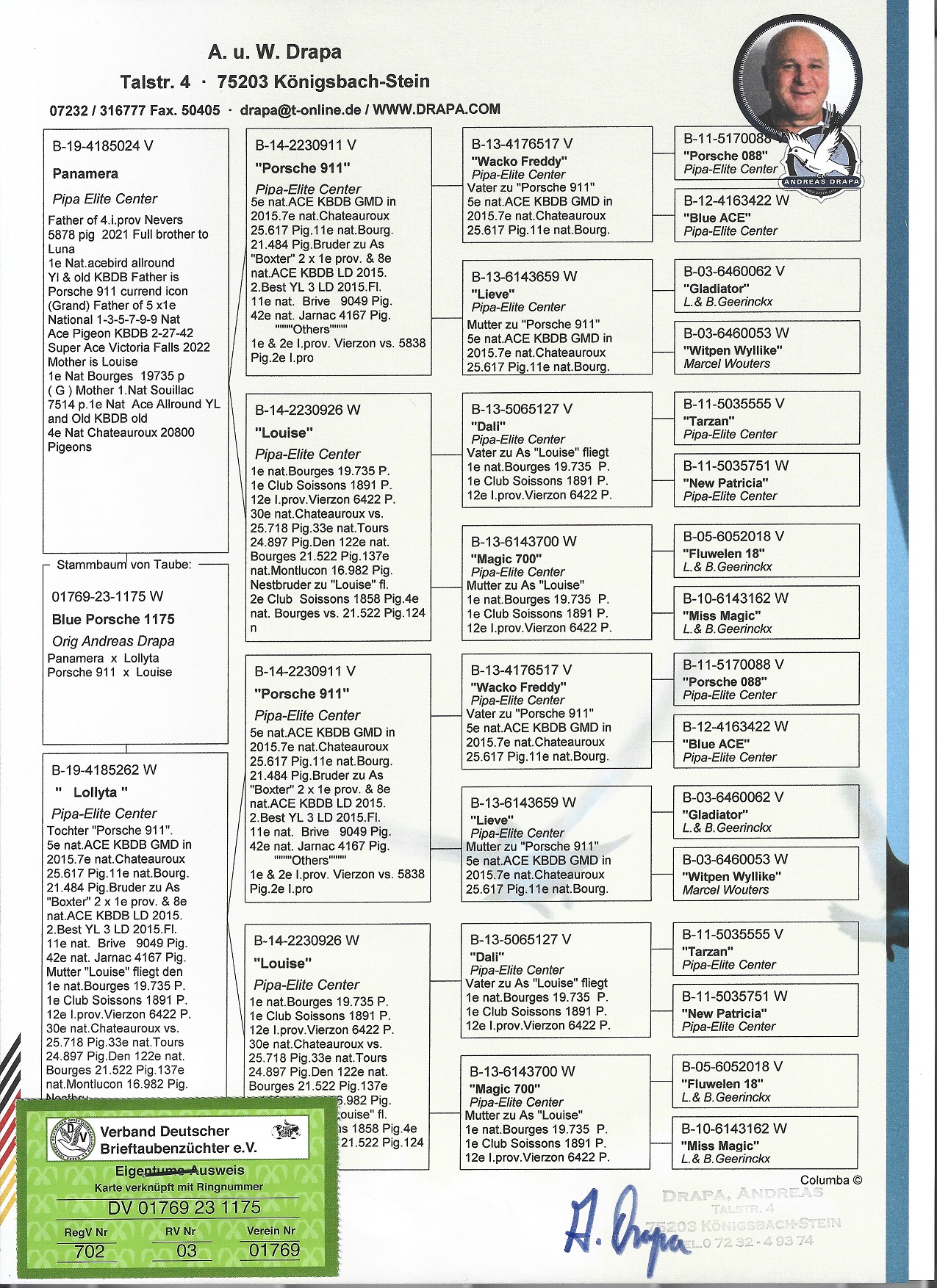 PORSCHE 911 AND MORE