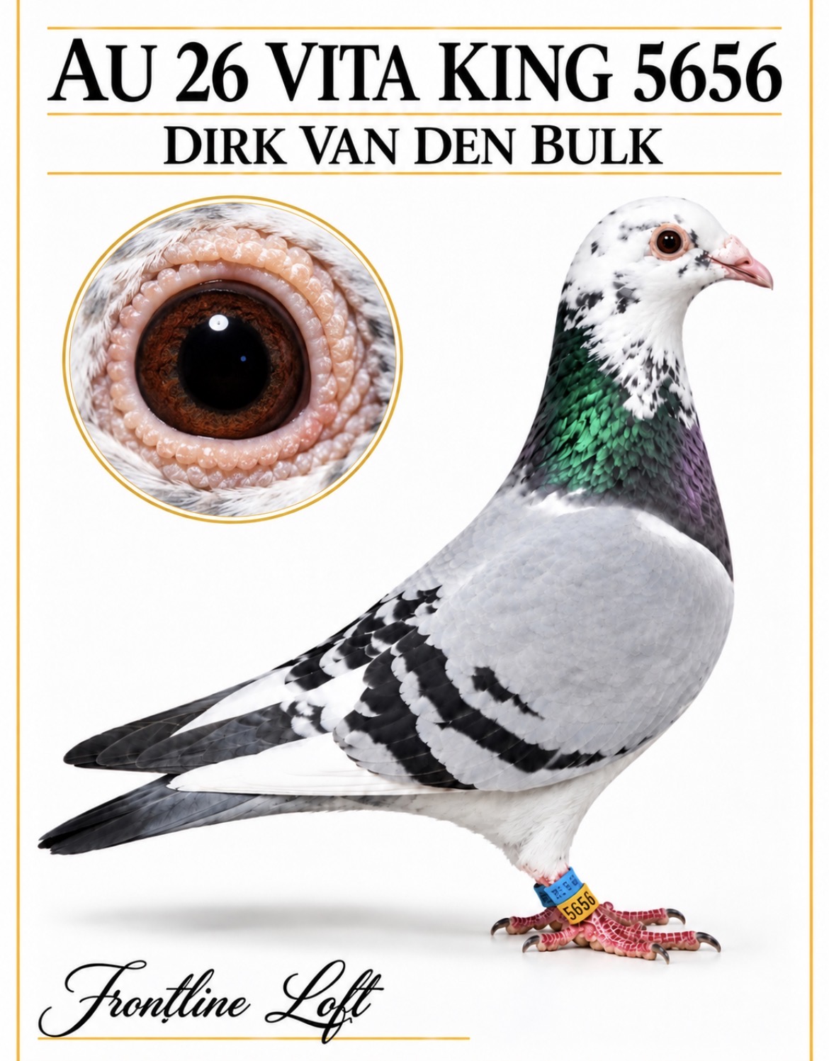 DIRK VAN DEN BULK 