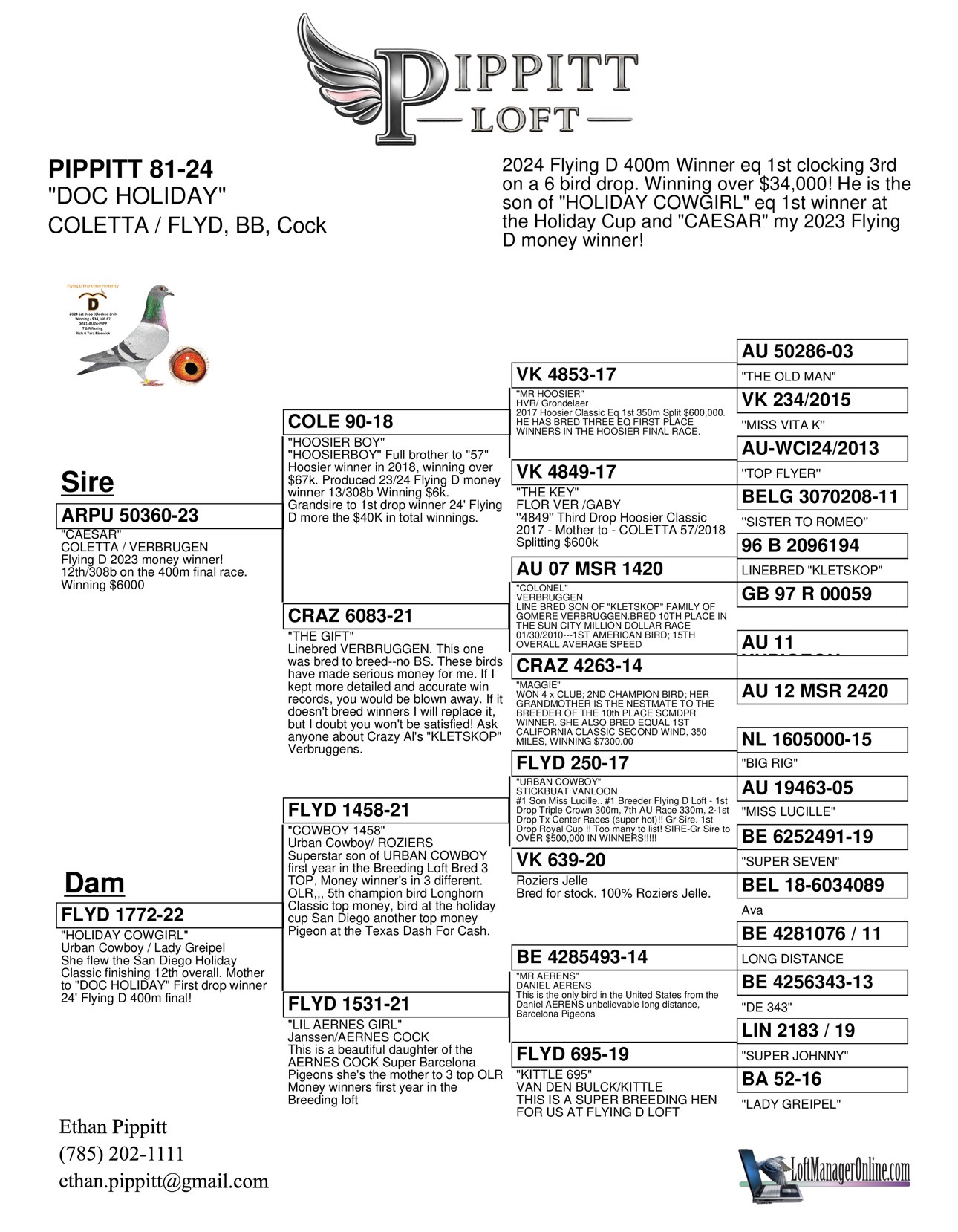 Preview Image 3