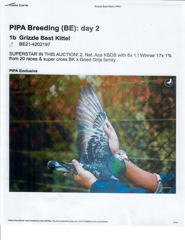 Preview Image 19