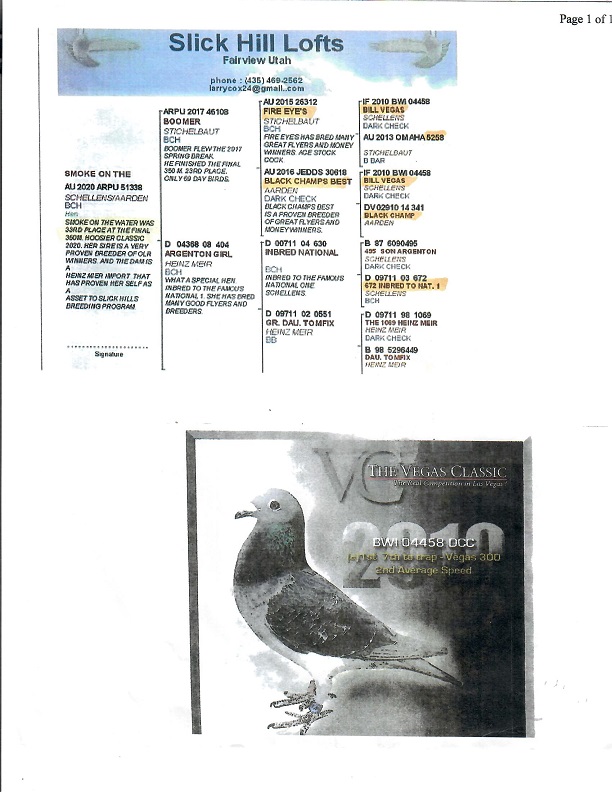 Preview Image 10