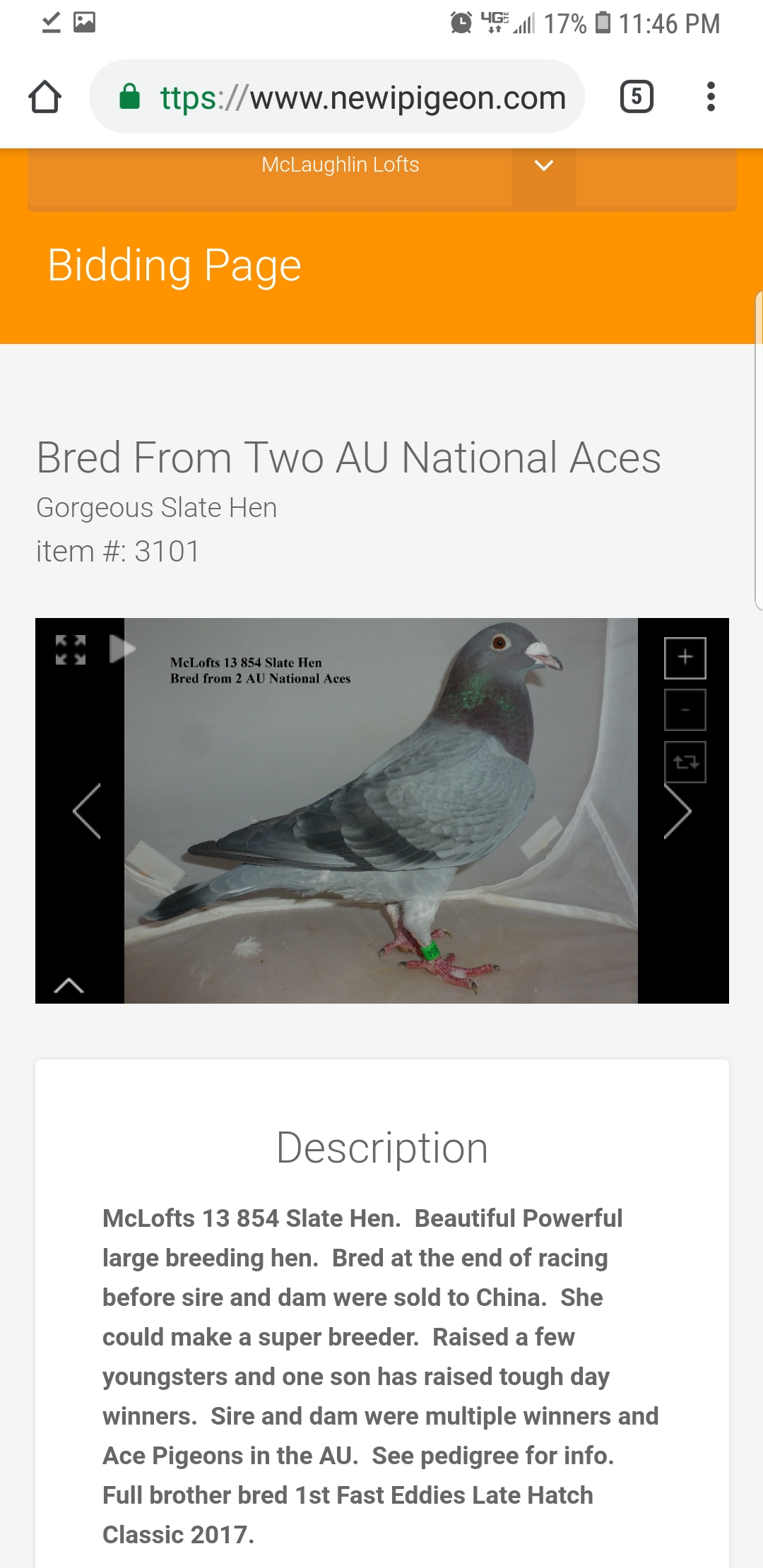 Preview Image 1