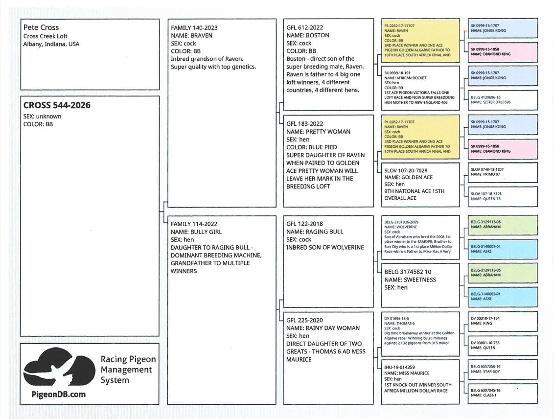 Preview Image 2