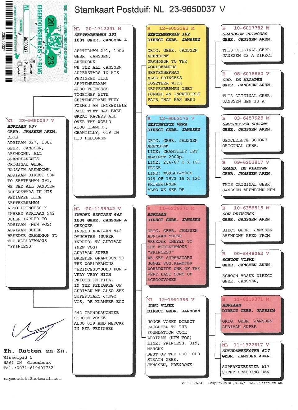 Preview Image 6