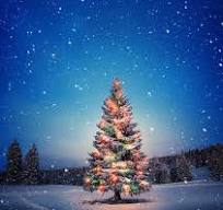 SHIPPING NOTICE FOR HOLIDAYS