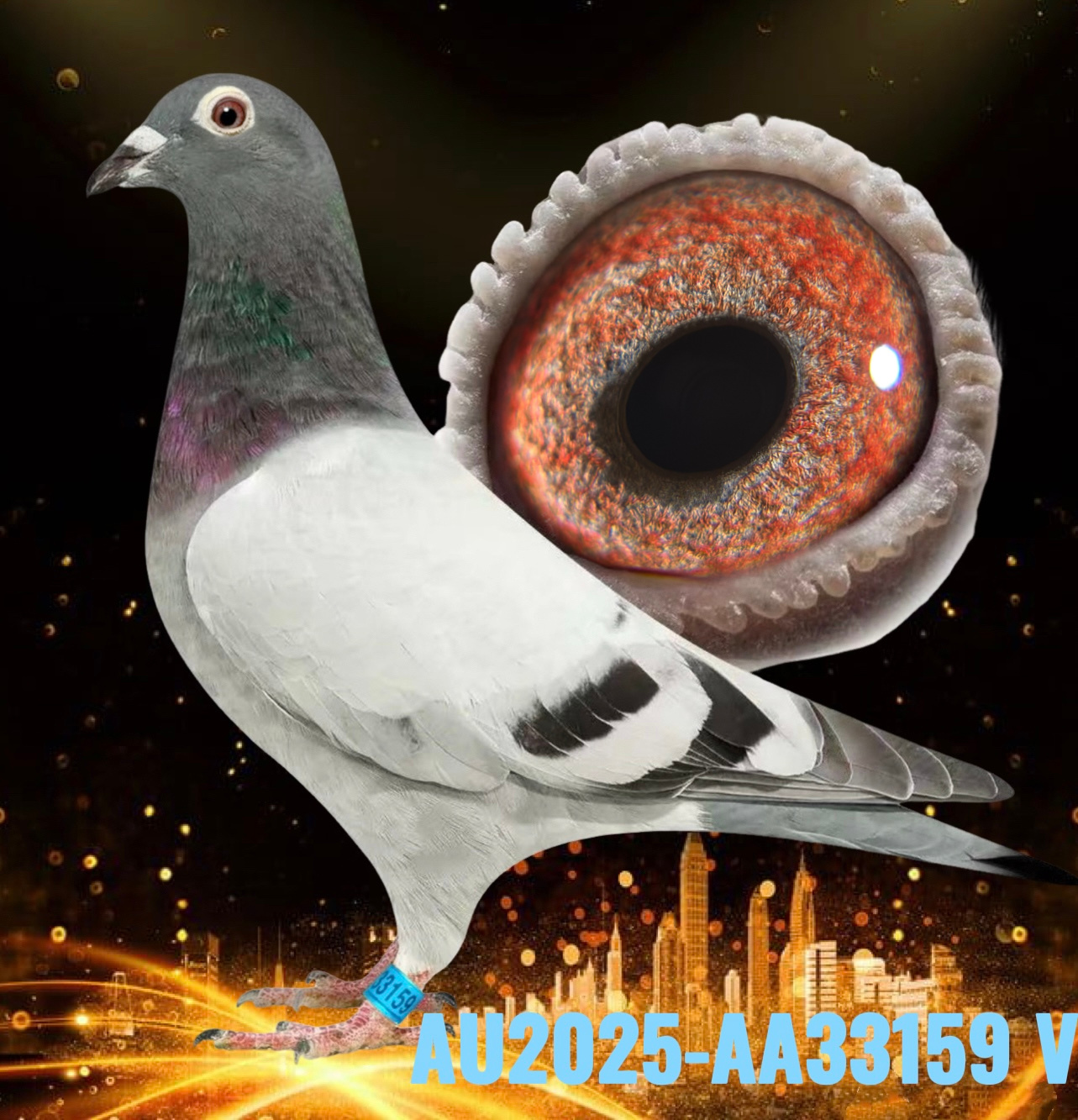 INBRED RUDY，"Harry Olympic"
