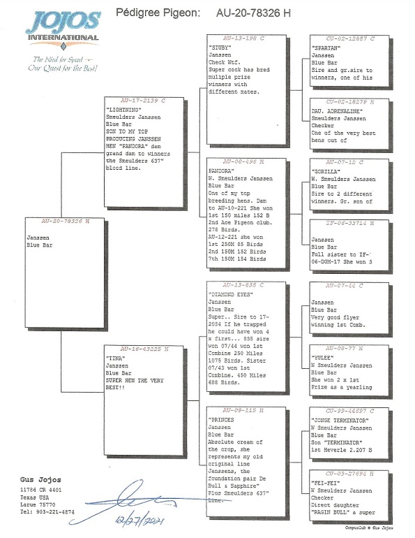 Preview Image 3