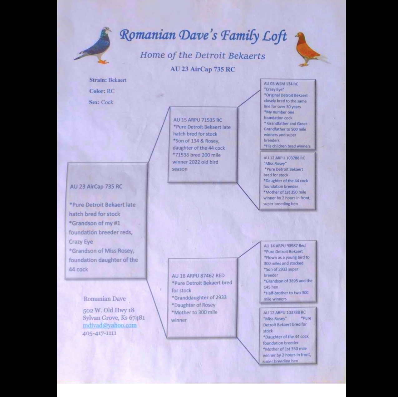 Preview Image 3