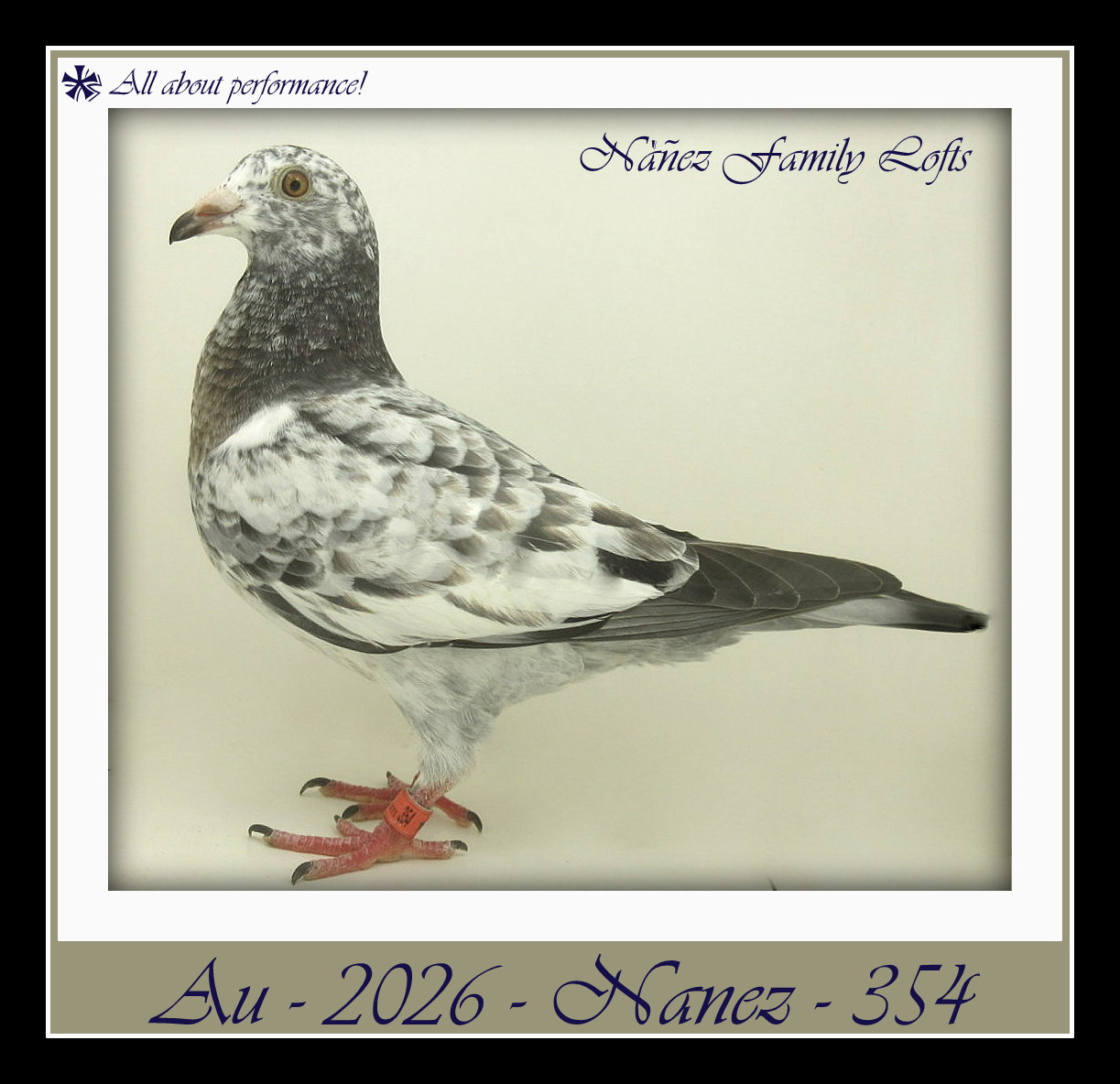 AU 2026 NANEZ 354