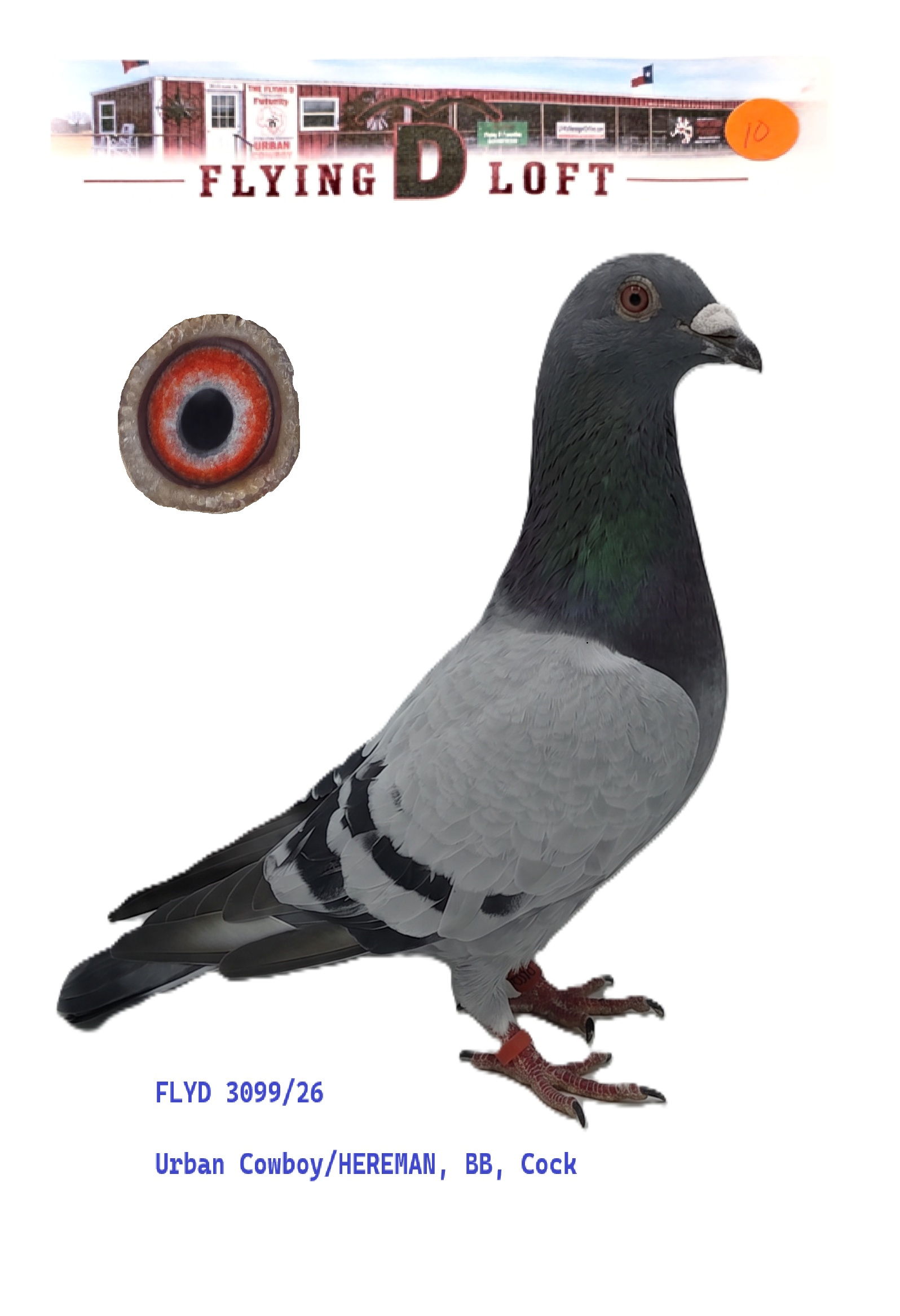 AU 26 FLYD 3099
