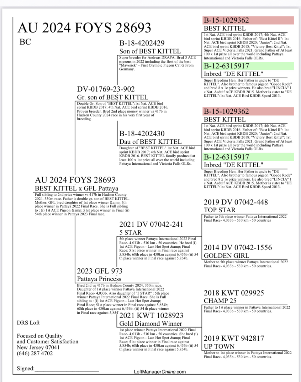 Preview Image 4