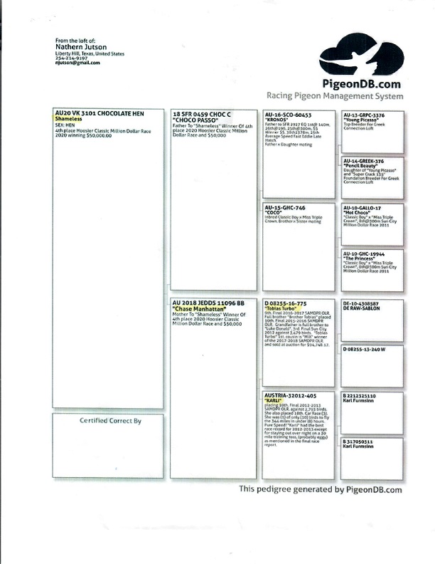 Preview Image 5