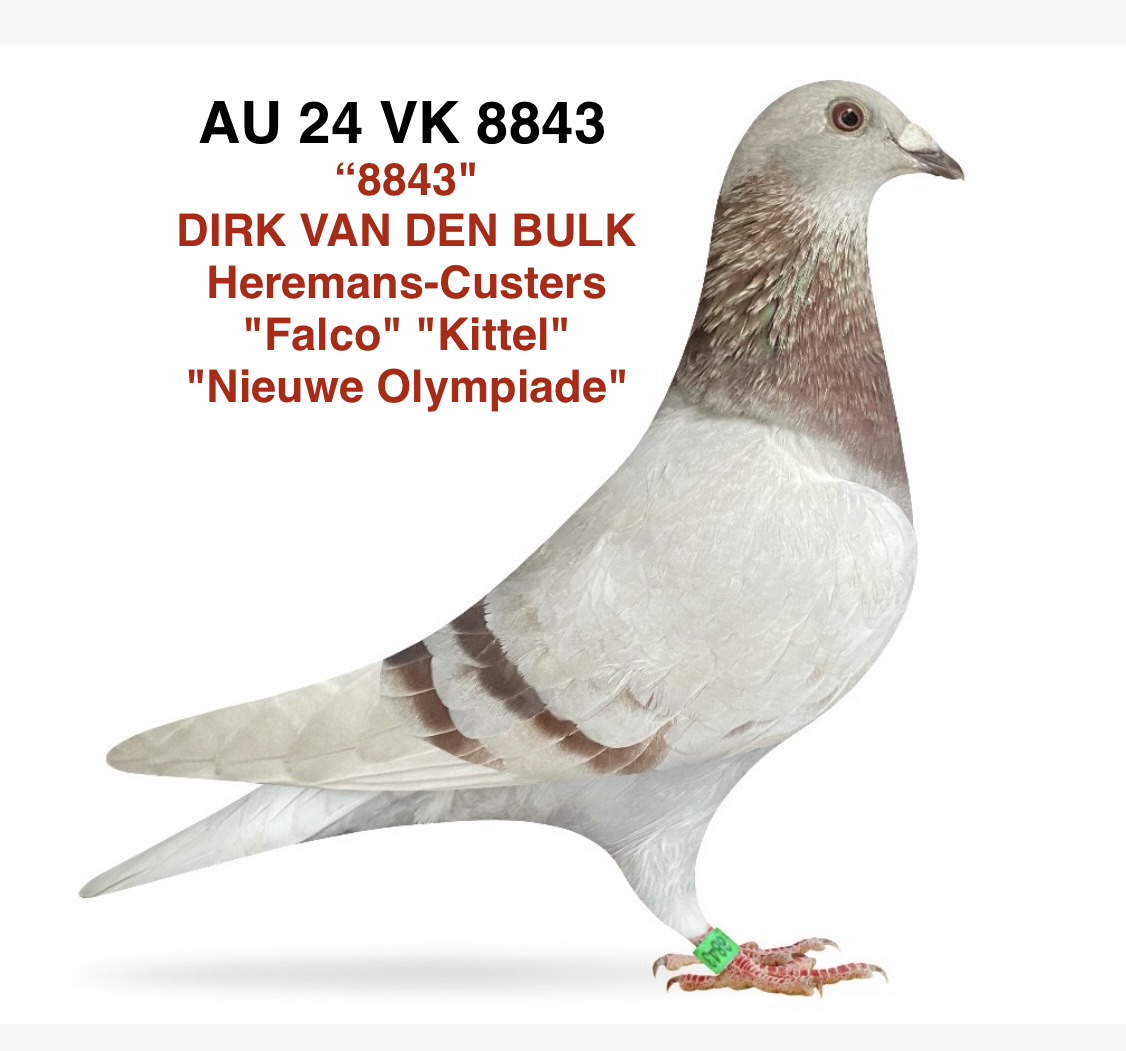 DIRK VAN DEN BULK - LEO HEREMAN 