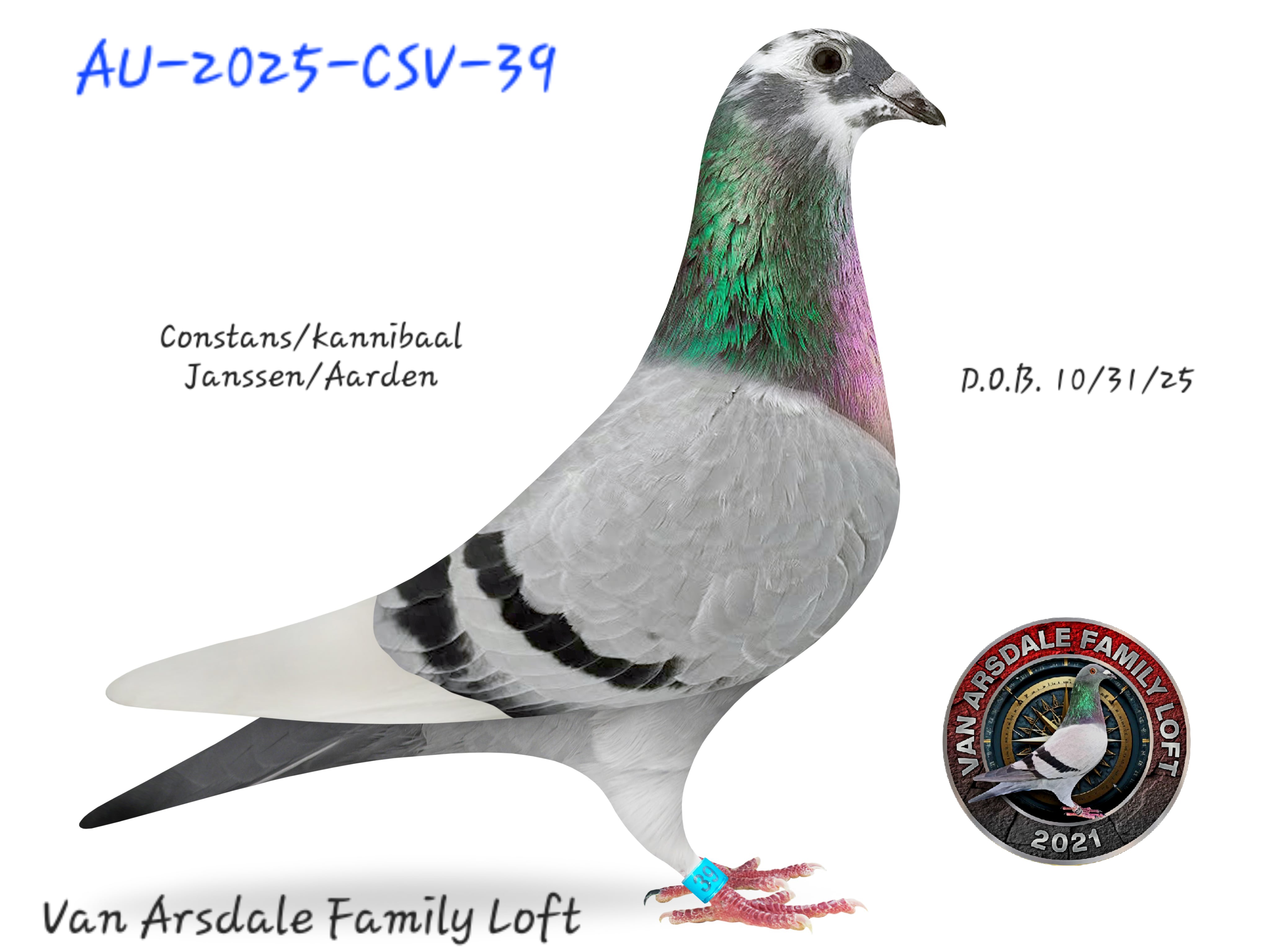 Constans/Kannibaal over Janssen/Aardon