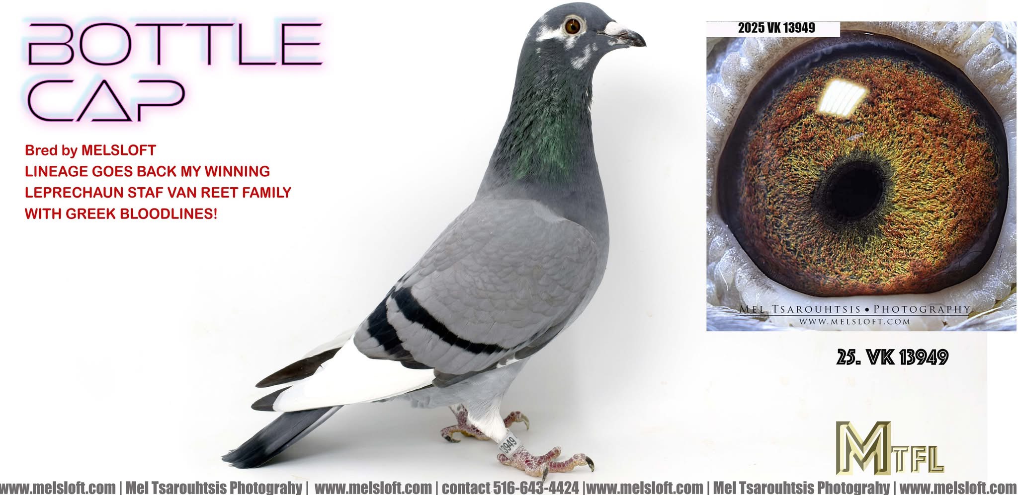 2025 VK 13949 bbpied 