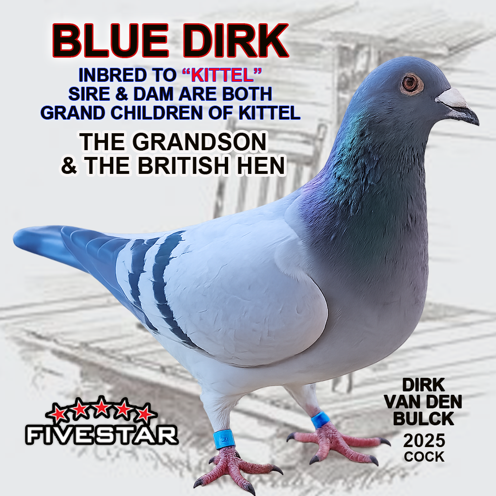 A PAIR OF VAN DEN BULCKS