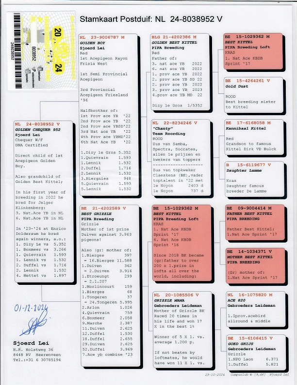 Preview Image 5