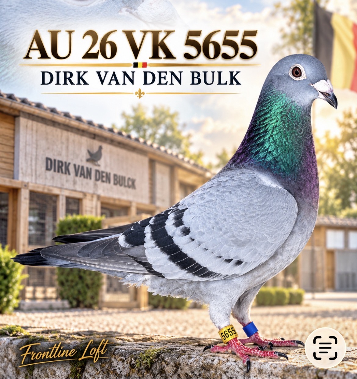 DIRK VAN DEN BULK 