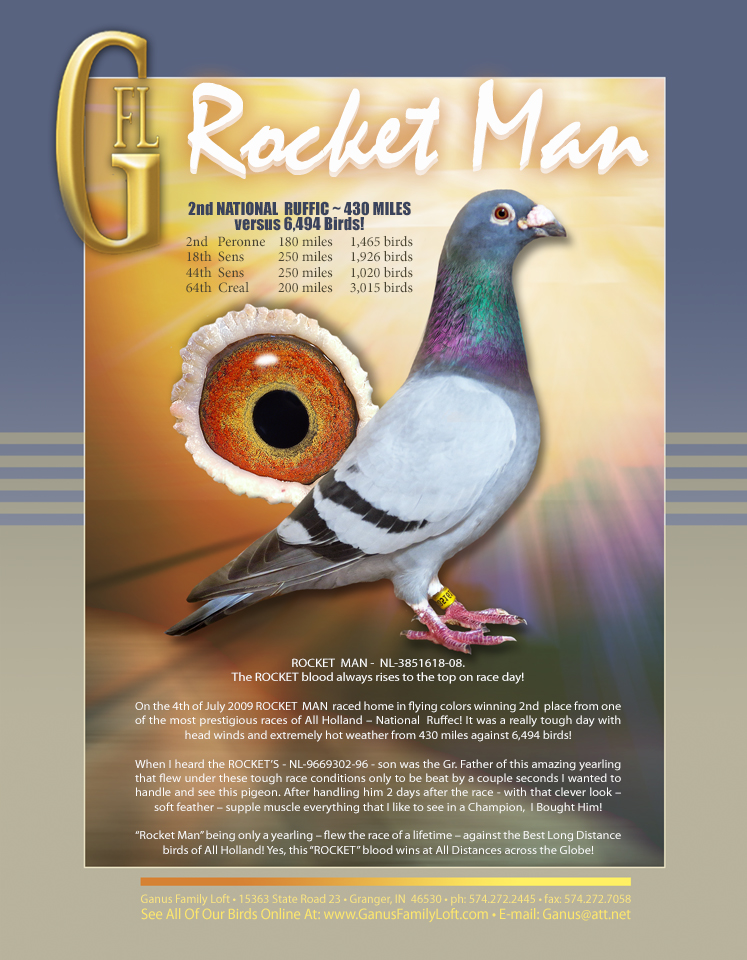 iPigeon.com - Racing Pigeon Auction