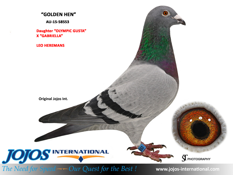 LOT # 51 IF-25-40 OPAL