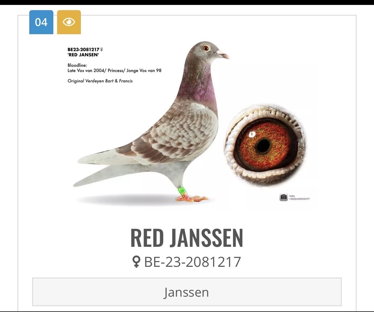 RED JANSSEN 