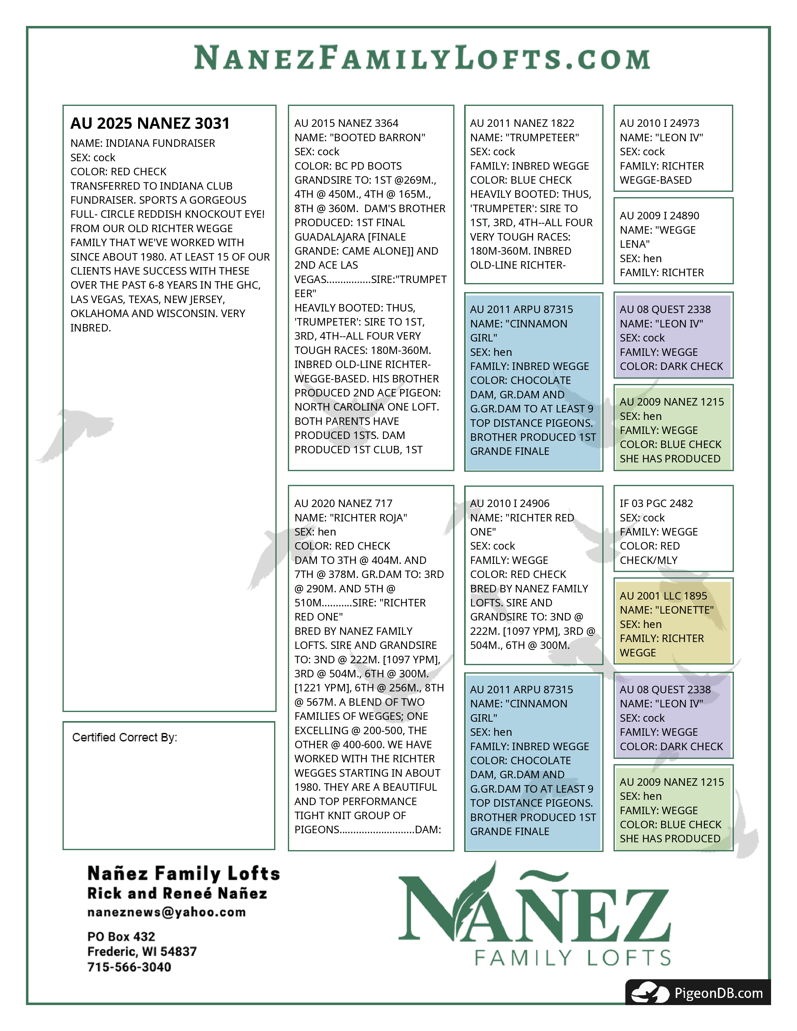 AU 25 Nanez 3031 RC Cock