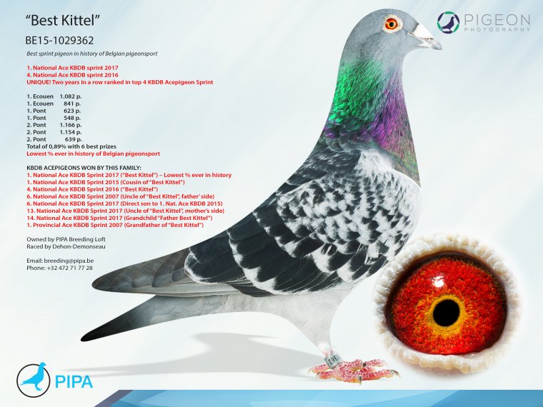 Preview Image 2