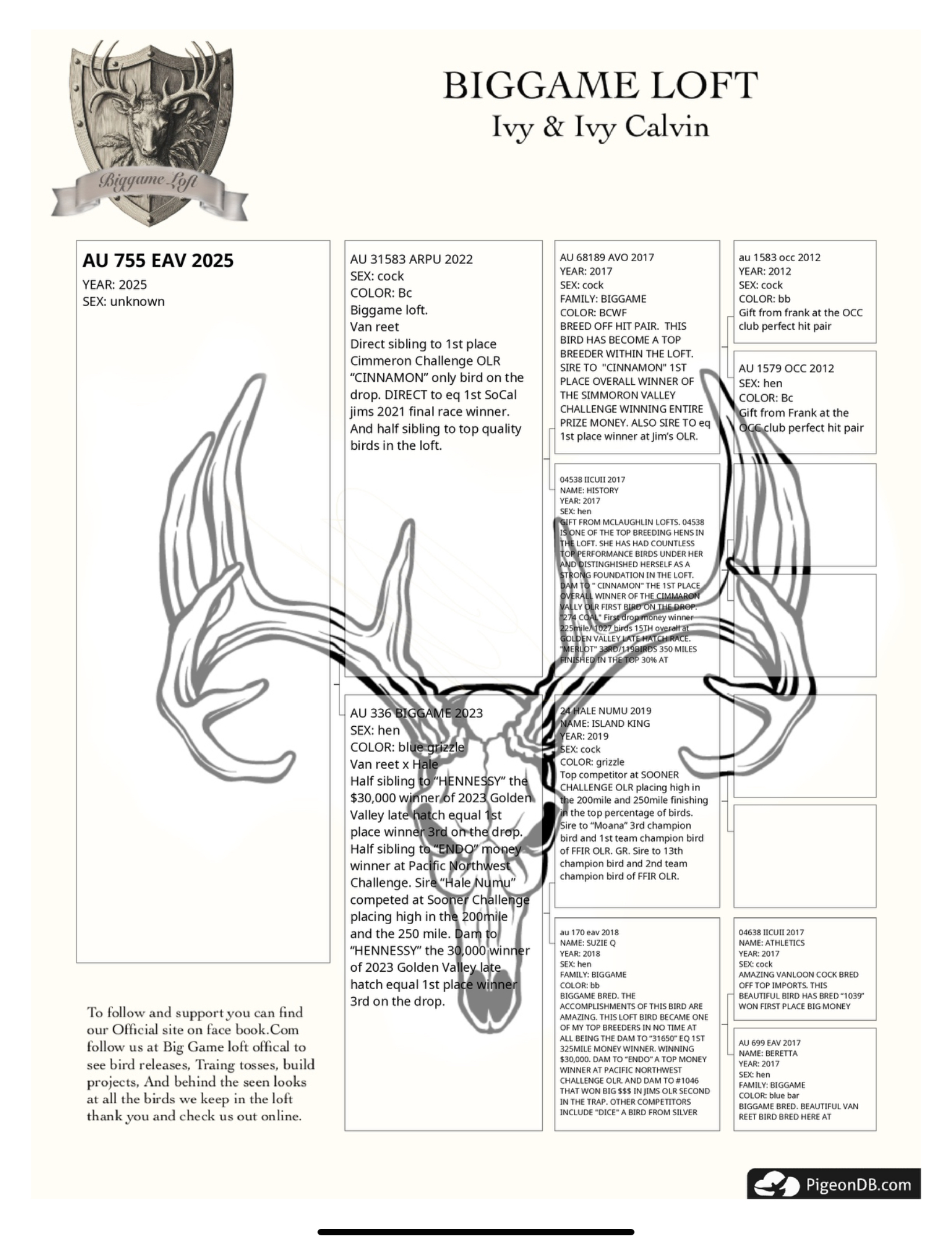 AU 755 EAV 2025 Griz 