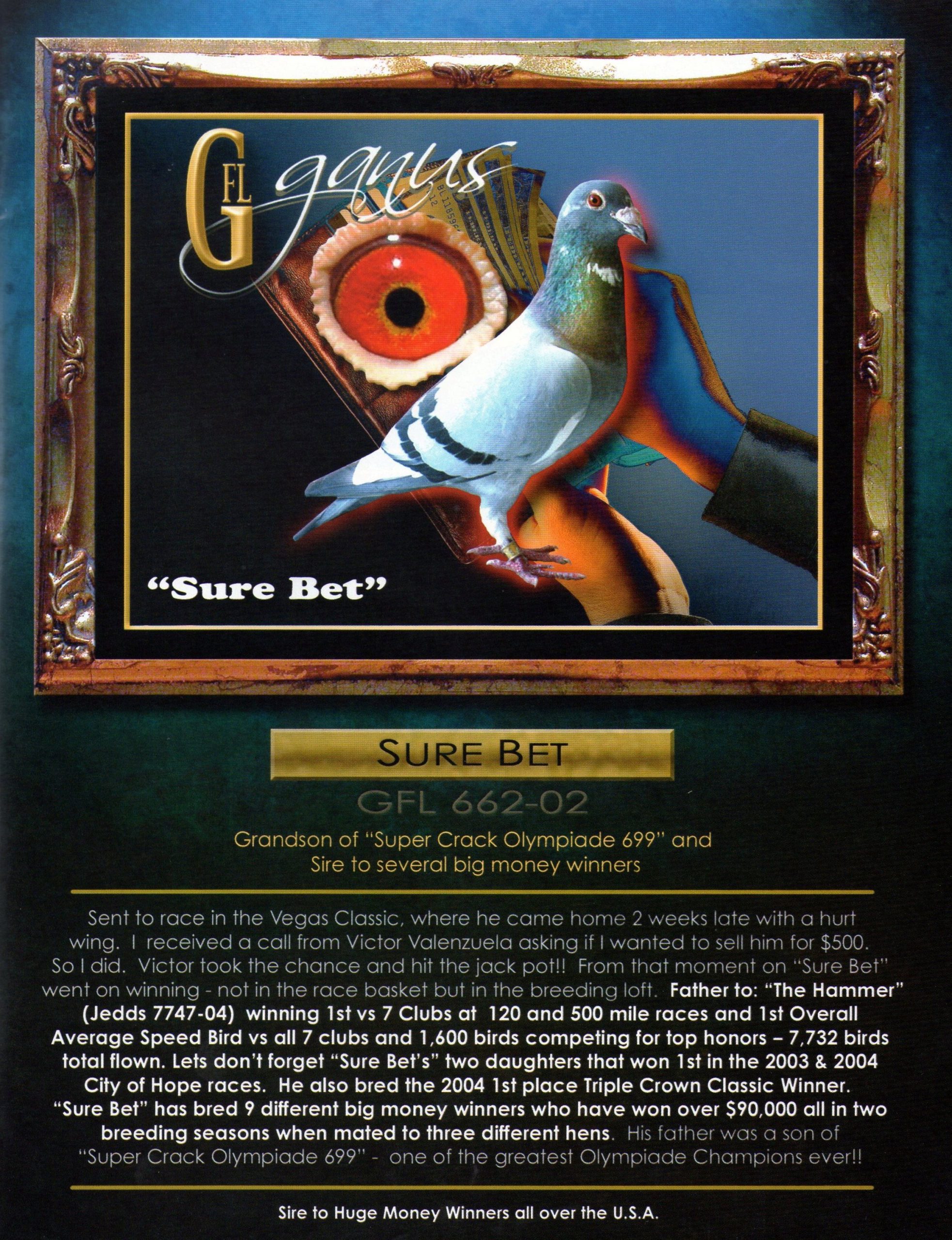 Preview Image 2