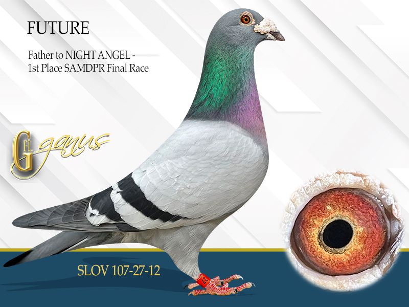 GFL 68-2025 Blue Male