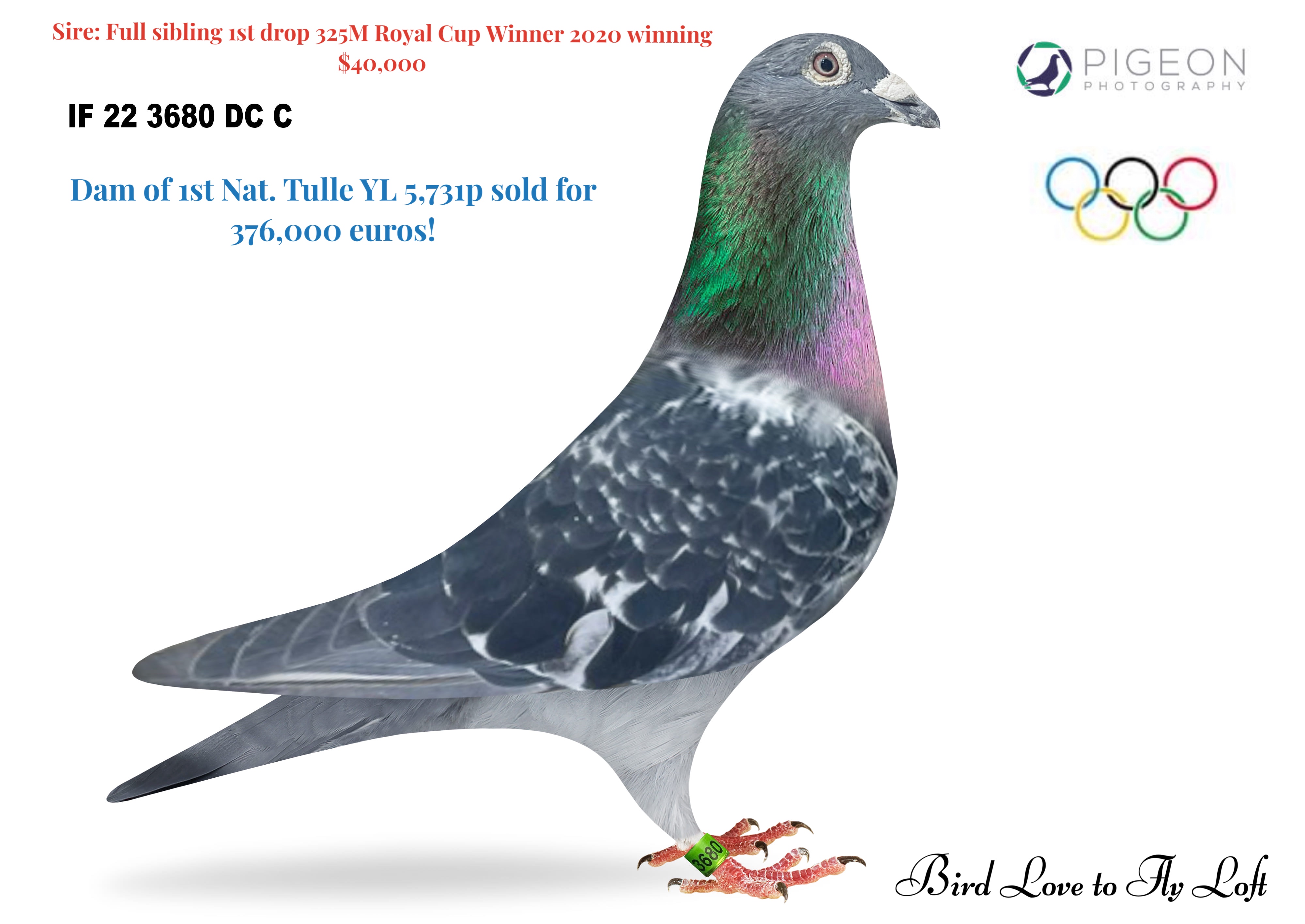 IF 22 SCHOLAR 3680 DC C