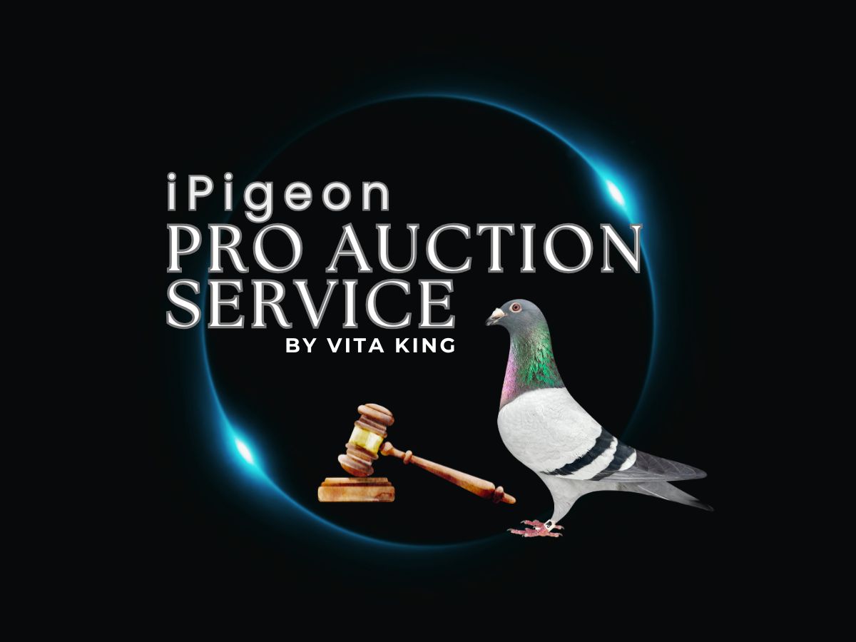 PRO AUCTION SERVICES by VITA KING