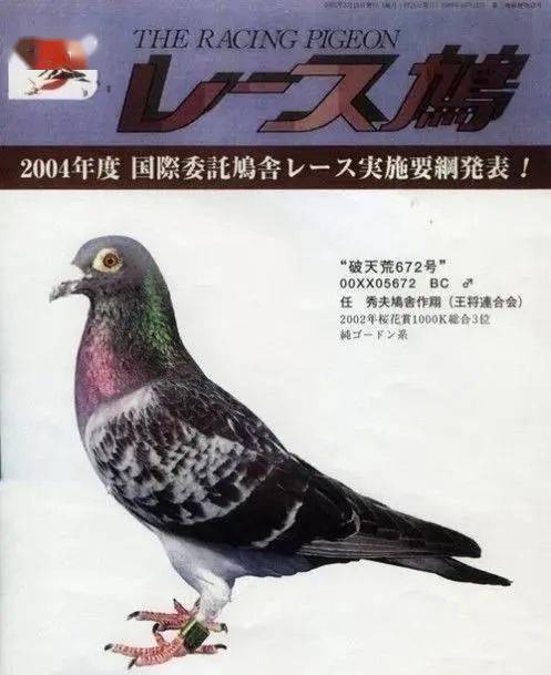 Preview Image 8