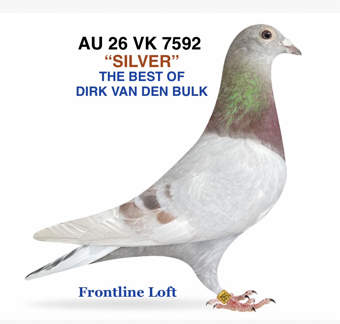 DIRK VAN DEN BULK 