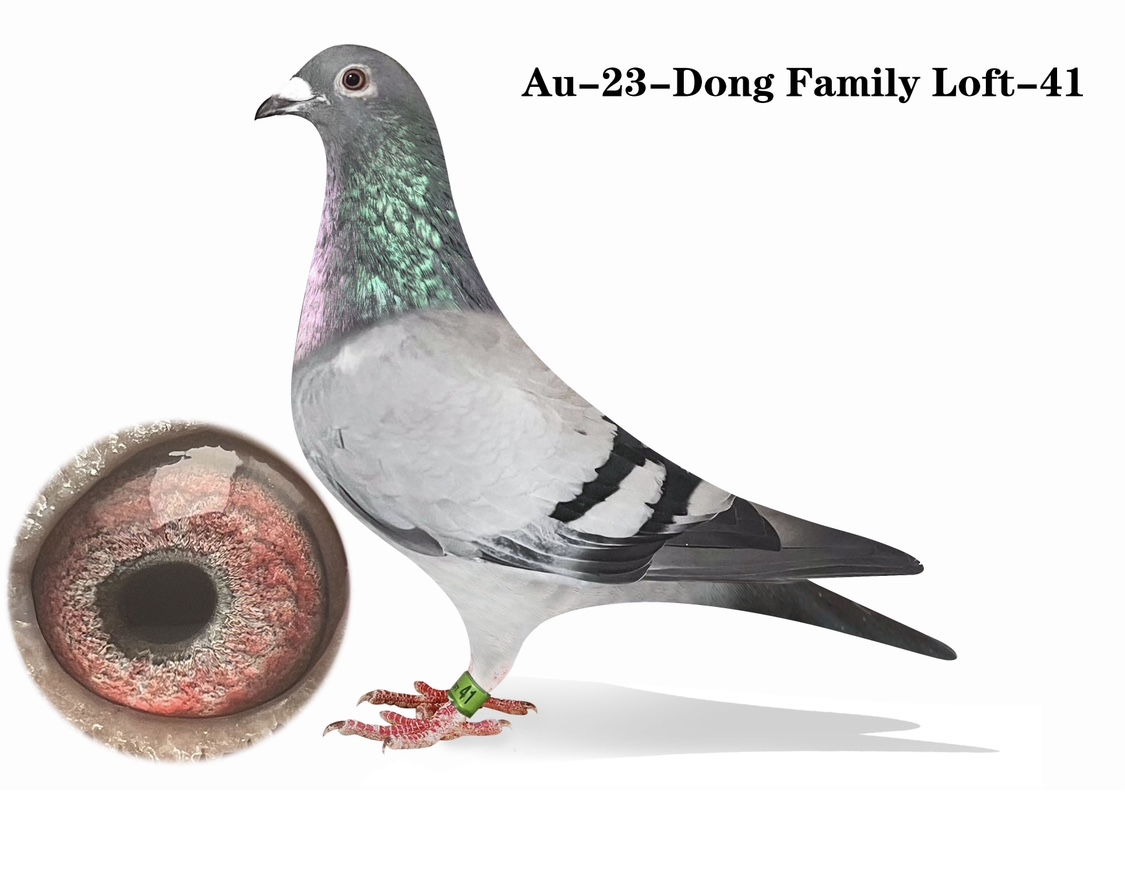 Au-23-Dong Family Loft-41