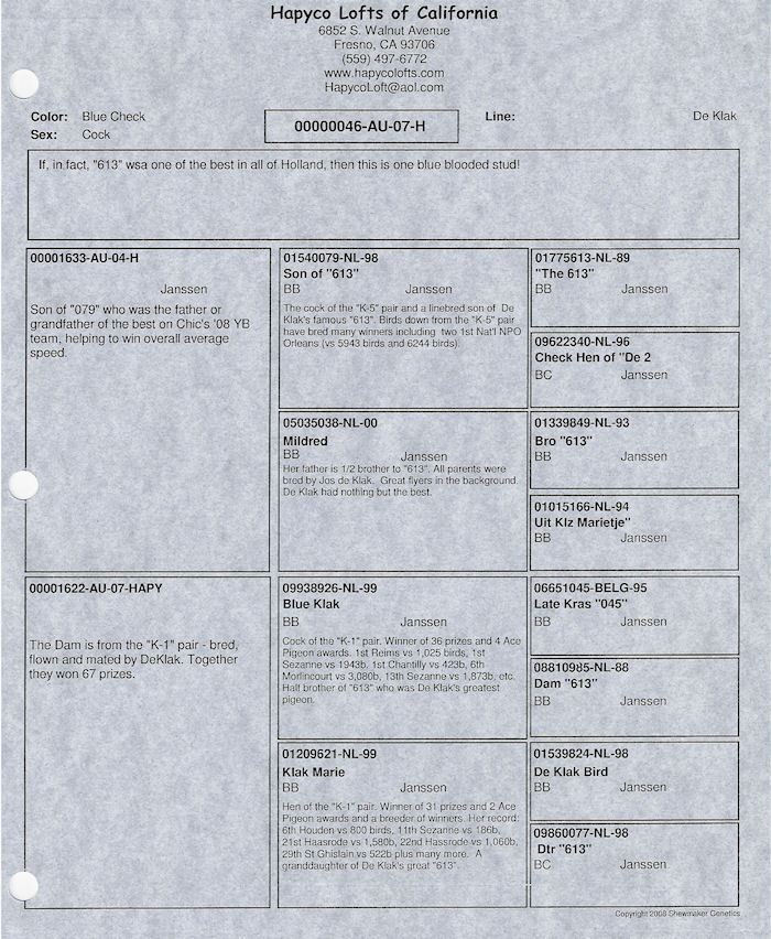 Preview Image 4
