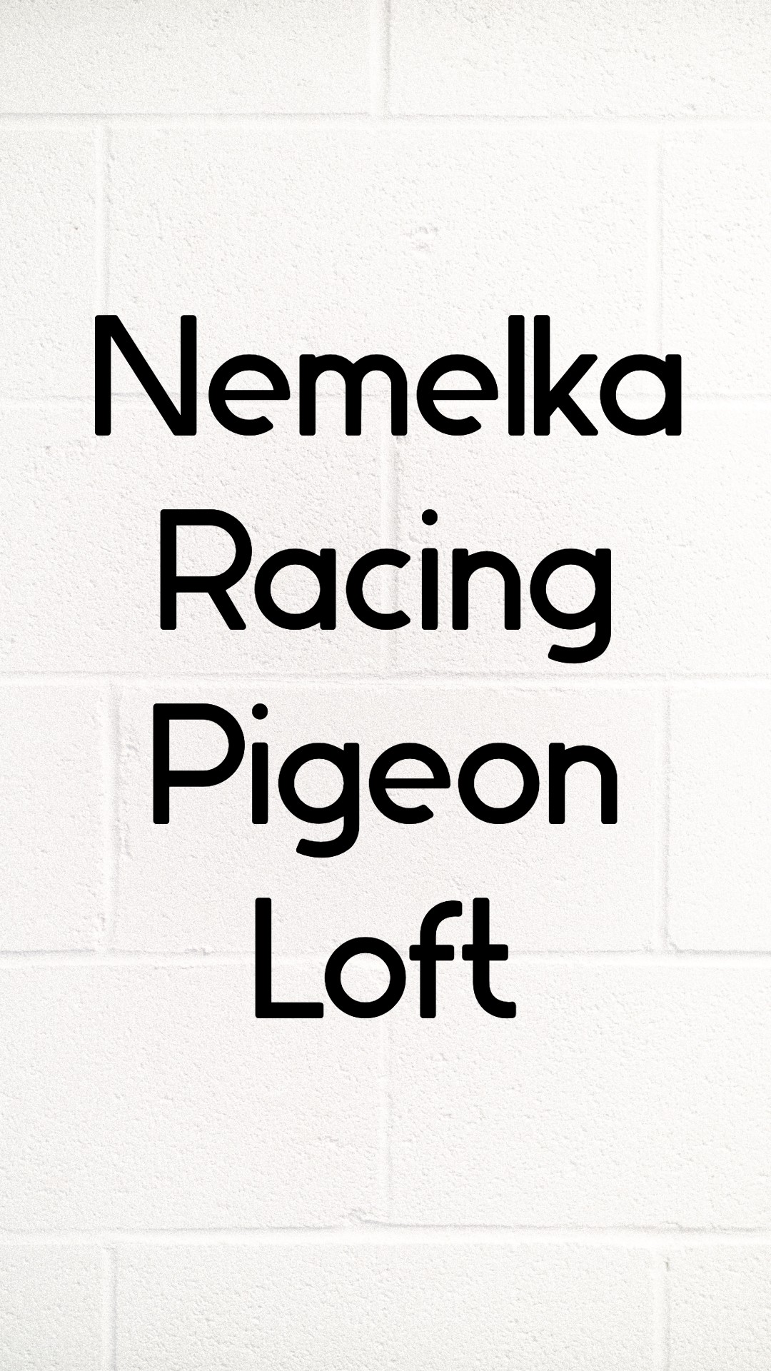 IPigeon Racing Pigeon Auction