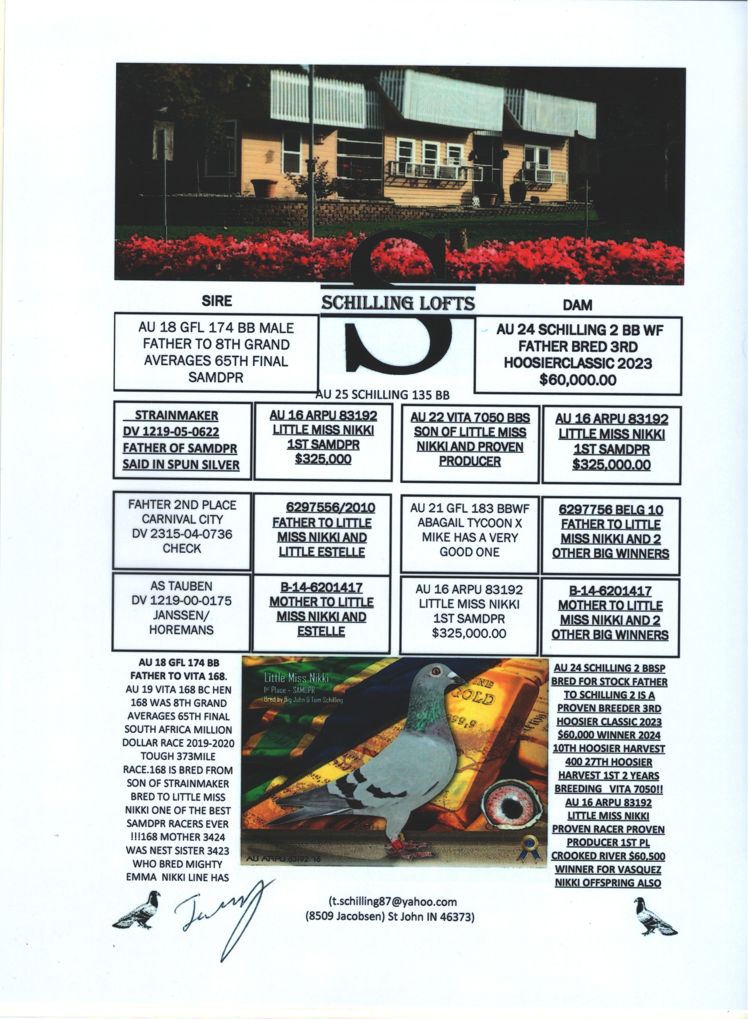 Preview Image 6
