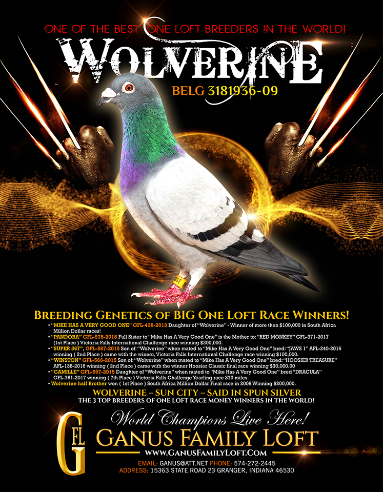 GFL 239-2025 Check Male