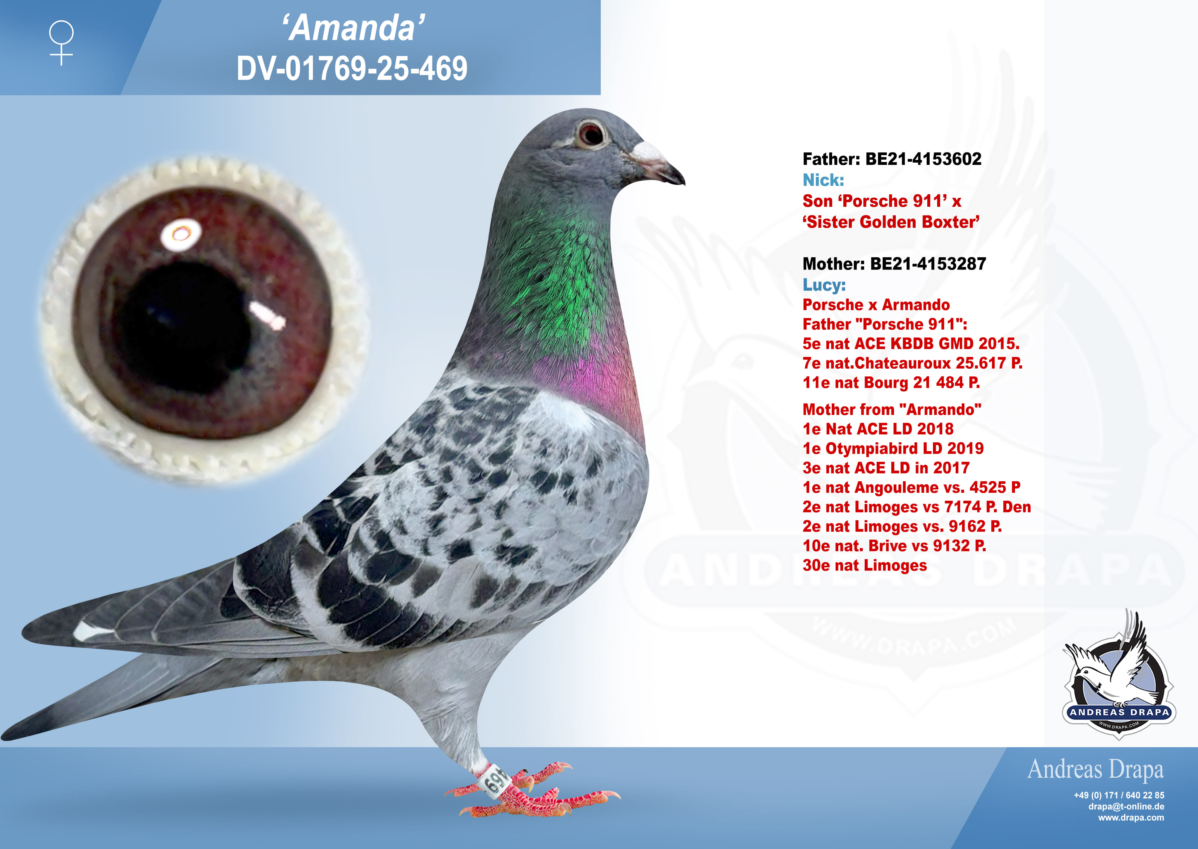 Preview Image 1